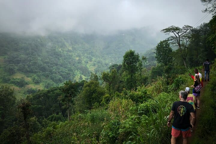 Materuni Waterfalls, Coffee & Kikuletwa Hot Springs — Day Trip from Arusha photo 6