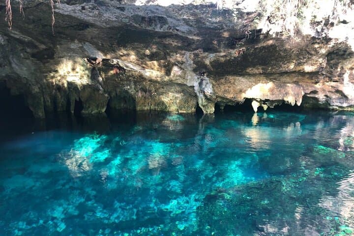 Cenote Triple Adventure Tour in Tulum: Snorkel, Cliff-Jump & Swim Three Iconic Sinkholes