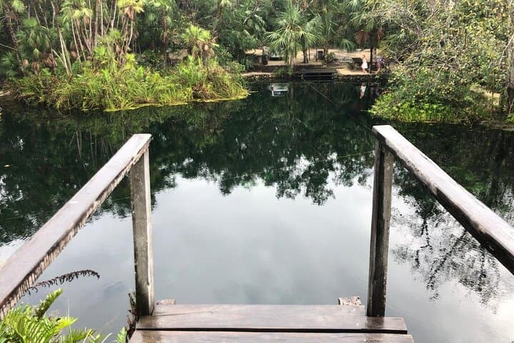 Cenote Triple Adventure Tour in Tulum: Snorkel, Cliff-Jump & Swim Three Iconic Sinkholes photo 4