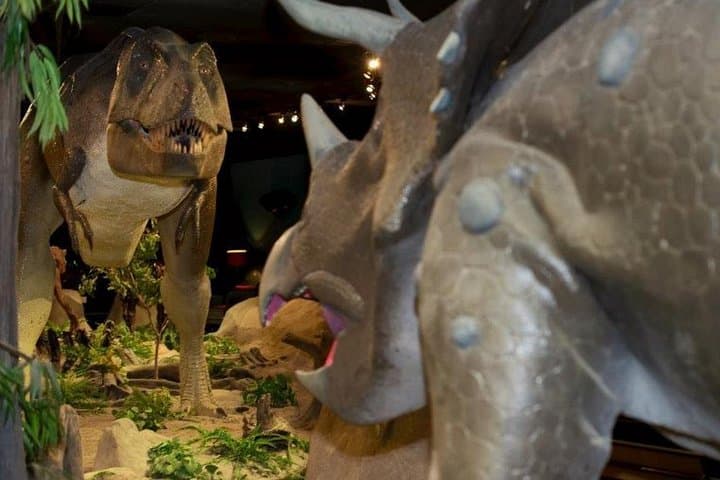 Explore Las Vegas Natural History Museum: Dinosaurs, Sharks & Nevada Wildlife photo 2
