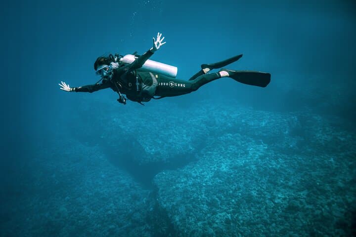 Bora Bora Morning 2-Tank Dives: Manta Rays, Shark Passes & Coral Gardens photo 4