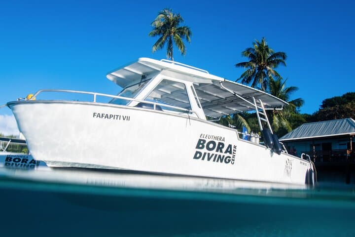 Introductory Scuba Dive in Bora Bora Lagoon: Coral Gardens & Tropical Fish photo 5