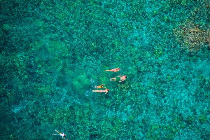 Explore Kealakekua Bay: Kona’s Premier Morning Snorkeling Adventure photo 5