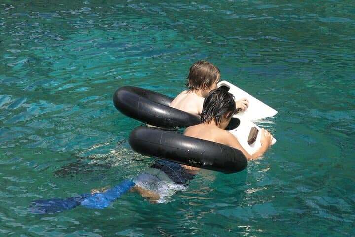 Kealakekua Bay Snorkeling Adventure: Explore Hawaii’s Underwater Sanctuary photo 6
