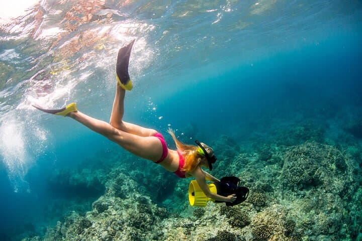 Exploring Hawaii’s Kona Coast: A Luxury Snorkel Tour through Pristine Reefs and Lava Formations photo 5