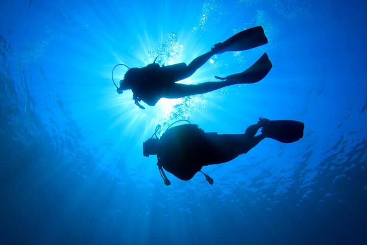 Discovery Scuba Dive in Costa Maya — Beginner PADI-Guided Reef Experience photo 4
