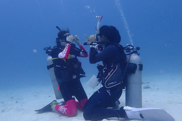 Discovery Scuba Dive in Costa Maya — Beginner PADI-Guided Reef Experience photo 5