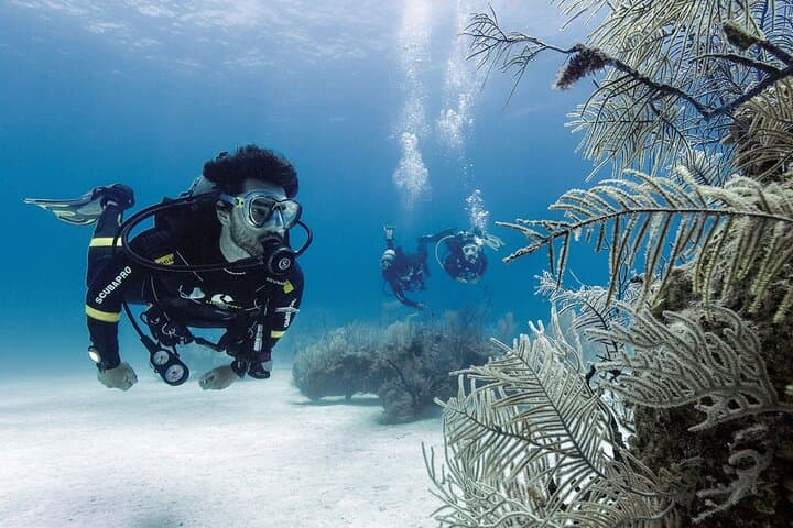 Costa Maya Two-Tank Dive: Explore the Mesoamerican Reef off Mahahual photo 3