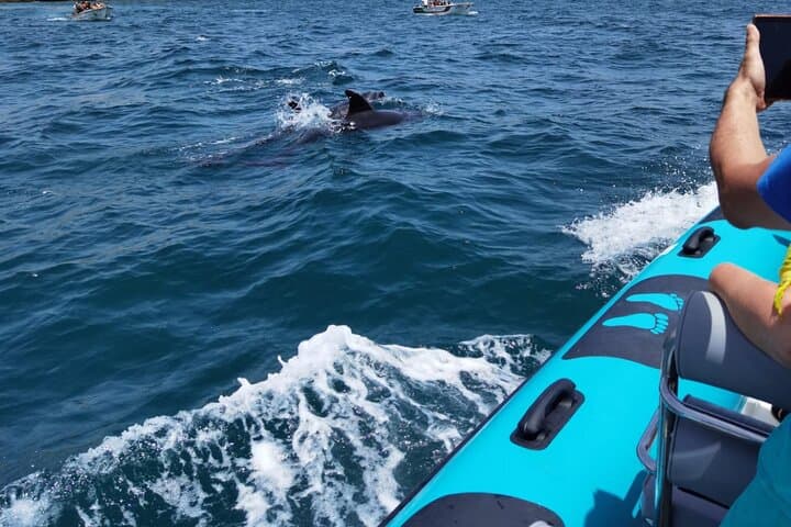 Private Benagil Caves Boat Tour from Portimão — Benagil Cave & Algarve Grottoes photo 4
