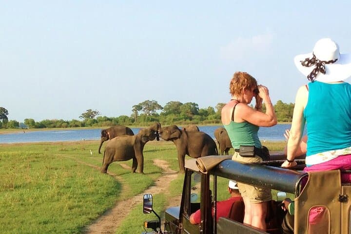 8-Day Uganda Safari: Chimpanzee Tracking, Murchison Falls & Kazinga Channel Wildlife Viewing