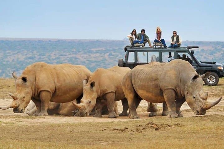 10-Day Uganda Safari: Gorillas, Game Drives & Nile Boat Safaris photo 2