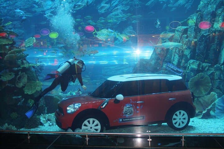 Dubai Aquarium & Underwater Zoo — Walk the 48m Tunnel and Meet Sand Tiger Sharks photo 3