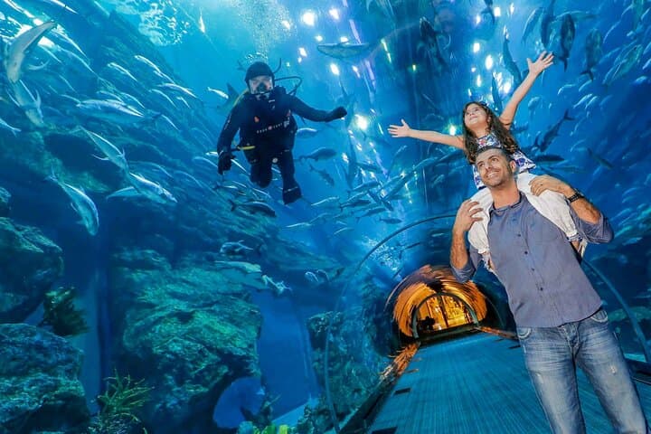 Dubai Aquarium & Underwater Zoo — Walk the 48m Tunnel and Meet Sand Tiger Sharks