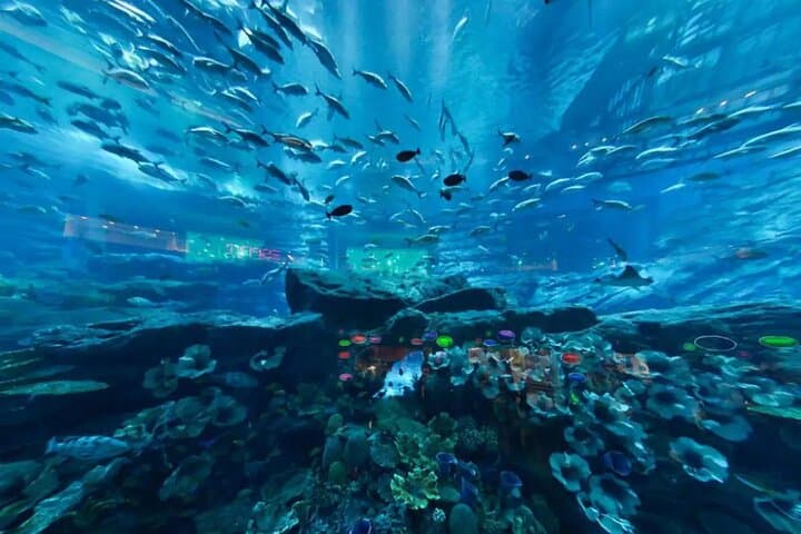 Dubai Aquarium & Underwater Zoo — Walk the 48m Tunnel and Meet Sand Tiger Sharks photo 4