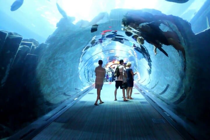 Dubai Aquarium & Underwater Zoo — Walk the 48m Tunnel and Meet Sand Tiger Sharks photo 5