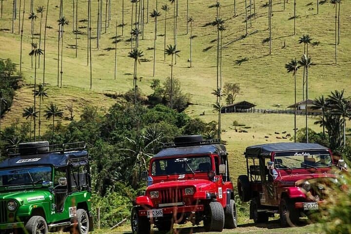 Short Cocora Valley Hike — Wax Palms, Waterfall Views & Jeep Photo Stops photo 6