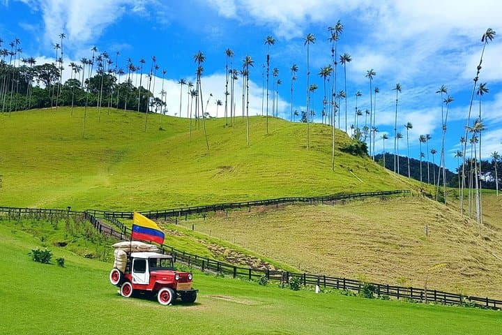 Cocora Valley Day Hike and Filandia Cultural Tour from Salento photo 3