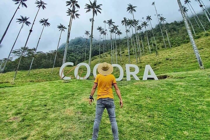 Short Cocora Valley Hike — Wax Palms, Waterfall Views & Jeep Photo Stops