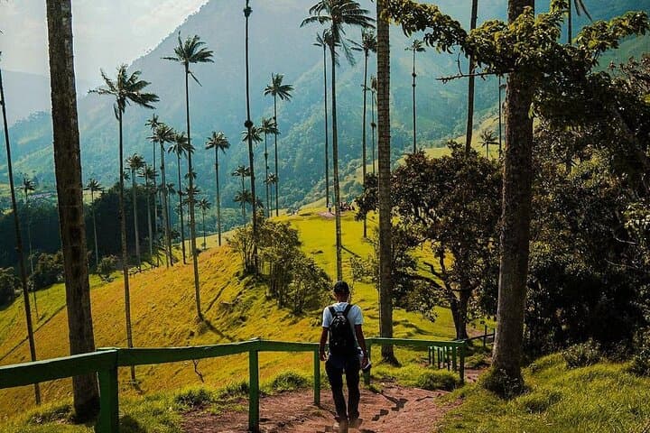 Short Cocora Valley Hike — Wax Palms, Waterfall Views & Jeep Photo Stops photo 4