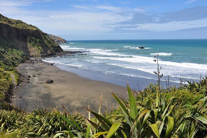 Auckland Wild West Coast & Black Sand Beaches Tour with Gannets and Brewery Lunch