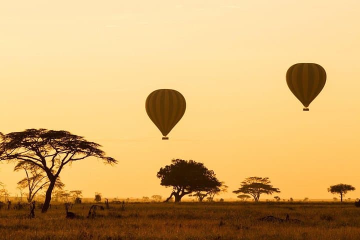 Luxury 8-Day Serena Safari: Serengeti, Ngorongoro & Tarangire in Comfort photo 2