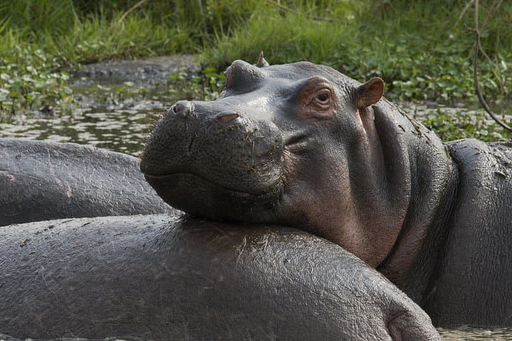 Luxury 8-Day Serena Safari: Serengeti, Ngorongoro & Tarangire in Comfort photo 3