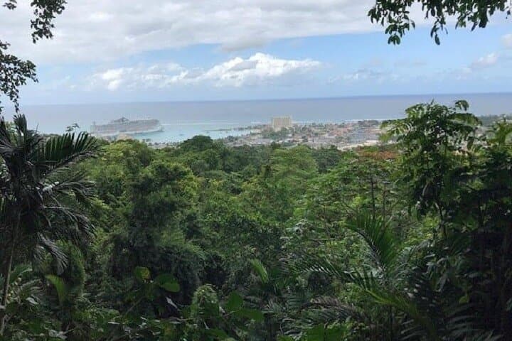 Explore Ocho Rios: Private Sightseeing Tour with Fern Gully & Jerk Lunch photo 3