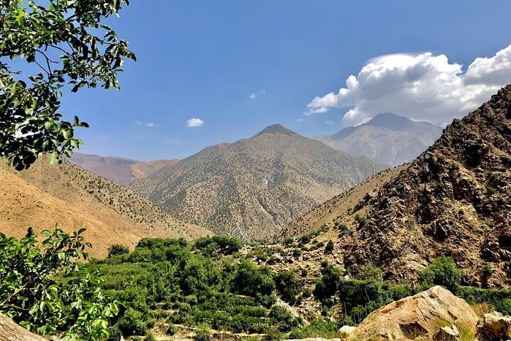 Half-Day Escape: Atlas Mountains & Ourika Valley from Marrakech photo 4