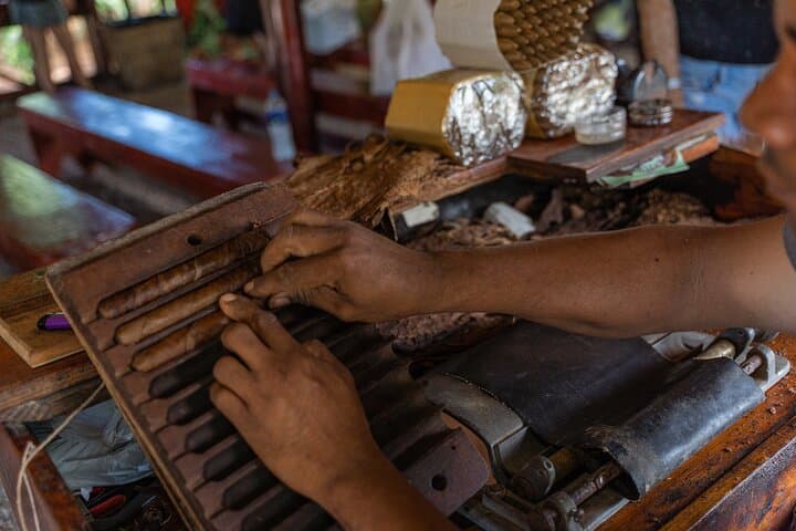 Buggies Off Road Extreme Punta Cana Macao Ranch Mud Adventure photo 5