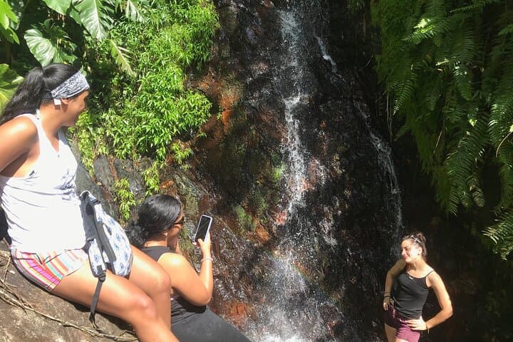 El Yunque Hike to Las Tinajas Waterfalls from Fajardo — Rainforest Pools & Natural Waterslides photo 3