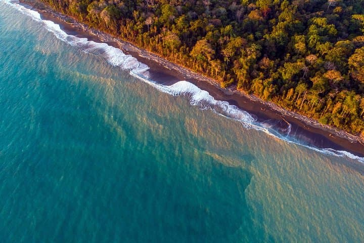 4-Day Drake Bay Adventure: Corcovado, Caño Island & Sierpe Mangroves photo 1