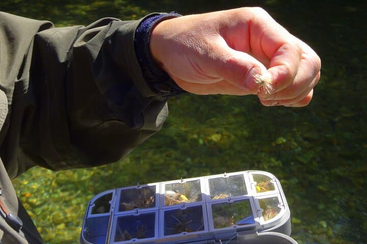 Fly Fishing in Villa La Angostura: Half-Day Trout Introduction photo 5