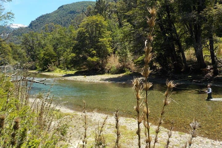 Fly Fishing in Villa La Angostura: Half-Day Trout Introduction photo 6