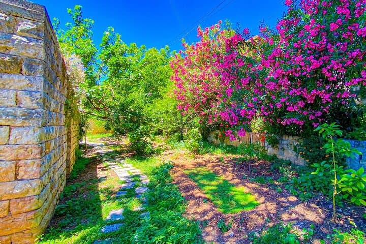 Beiteddine, Deir El Qamar & Barouk Cedars: Private Full-Day Tour from Beirut photo 4