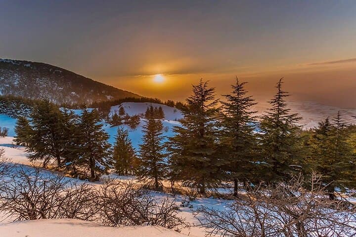 Beiteddine, Deir El Qamar & Barouk Cedars: Private Full-Day Tour from Beirut photo 6