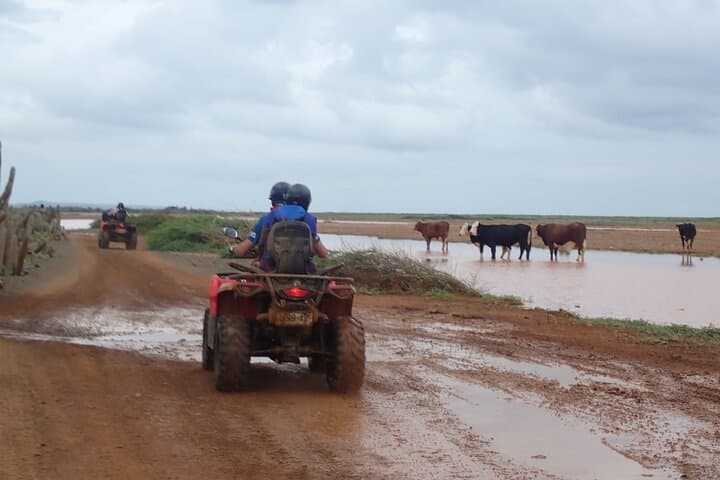 East Curaçao Half-Day ATV Adventure: Coastal Quad Ride & Beach Dip photo 6