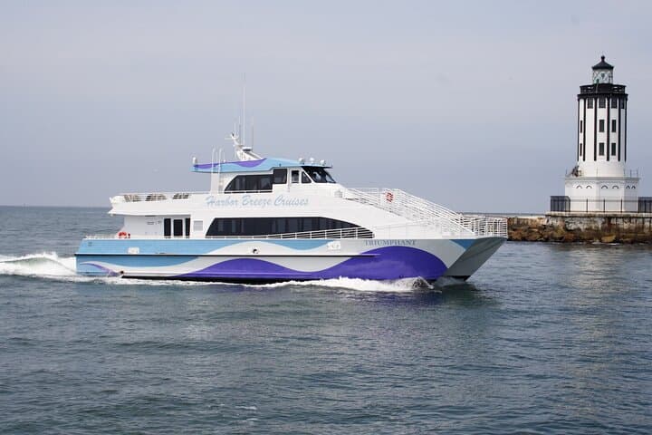 Long Beach Whale Watching: Guided Marine Wildlife Cruise from Dock 2 photo 5