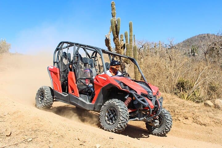 Side-by-Side Adventure in Los Cabos: Baja Desert to Pacific Coast UTV Ride photo 3