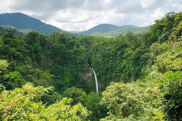 La Fortuna Waterfall & Arenal Volcano Hike — Natwell Full-Day Adventure photo 4