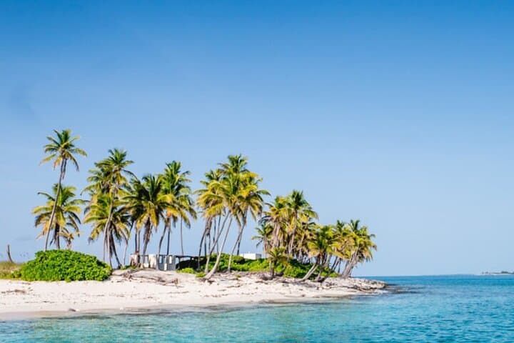Private Nassau Charter: Snorkel Reefs or Fish Offshore on a 31ft Bertram photo 6