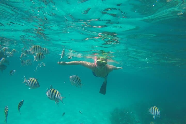 Private Nassau Snorkeling & Fishing Charter: Half-Day on a 38ft Freestyle photo 2