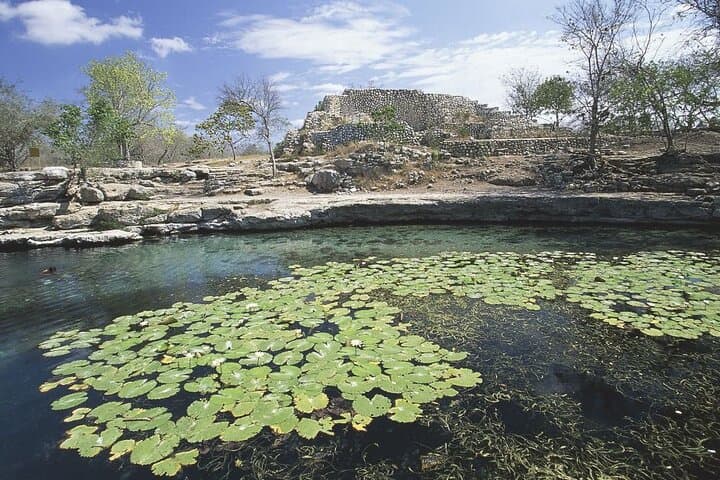 Kaan Luum Lagoon & Tulum Cenotes: Swim, Mayan Ceremony, and Mangroves photo 3