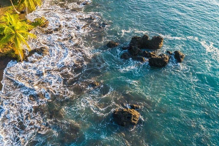 6-Day Osa Jungle Adventure: Corcovado Camping, Cano Island Snorkel & Sierpe Mangroves photo 4