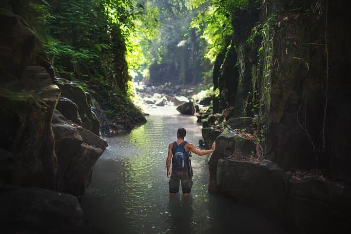 6-Day Osa Jungle Adventure: Corcovado Camping, Cano Island Snorkel & Sierpe Mangroves photo 1