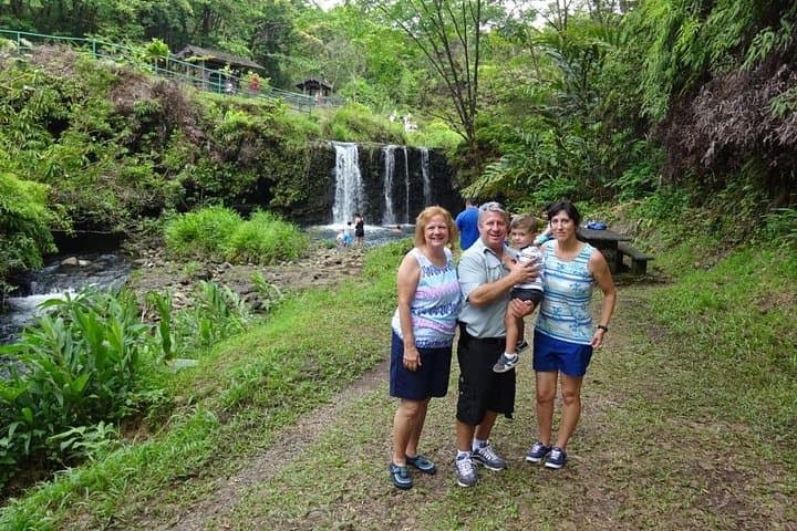 Private Road to Hana in a Luxury Mercedes Sprinter — Custom Maui Transport photo 4