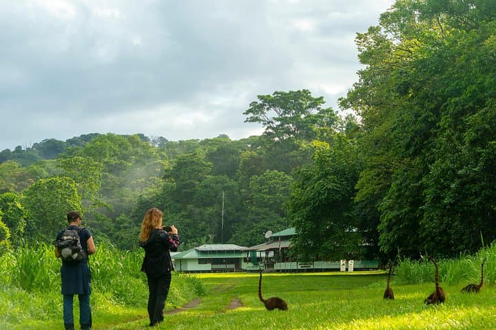 Corcovado & Drake Bay 2-Day Safari: Overnight at Sirena Ranger Station photo 2