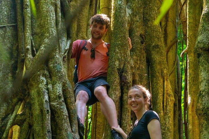 4-Day Drake Bay Adventure: Corcovado, Caño Island & Sierpe Mangroves photo 2