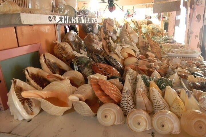 Zihuatanejo and Ixtapa City Tour: Beaches, Markets & Viewpoints photo 5