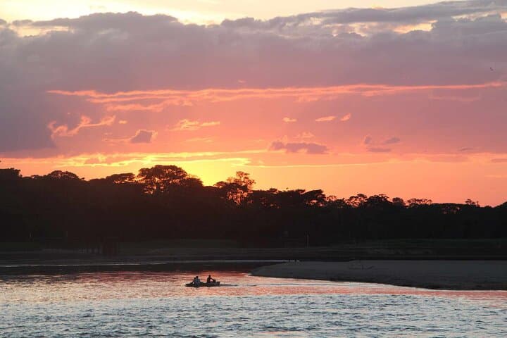 4-Day El Guaviare Rock Paintings and Amazon Jungle Expedition photo 2