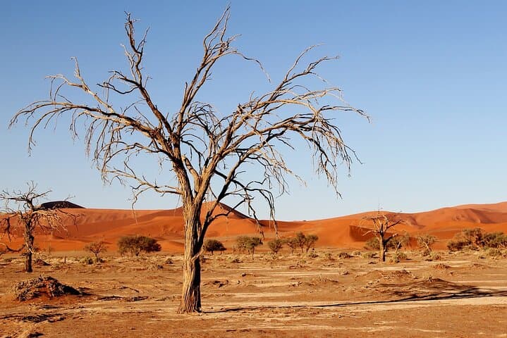 3-Day Sossusvlei Safari: Dunes, Deadvlei & Sesriem Camping in Namibia photo 4